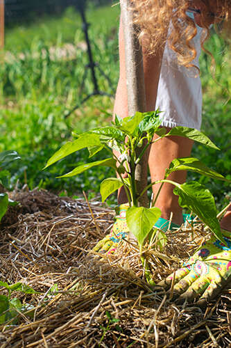 Jardinage au naturel