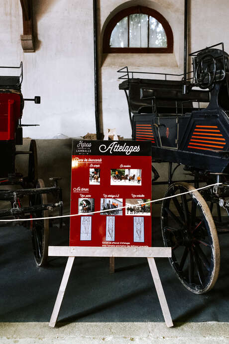 200 ans du Haras : Visite remise voitures hippomobiles et métier du charron