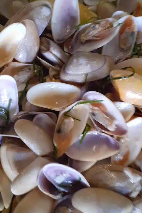 Sortie Nature avec Monsieur Jean- "Dis-moi...tellines"