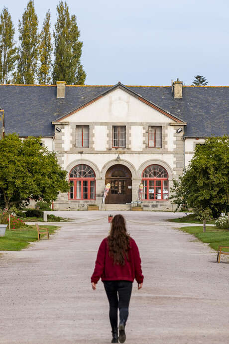 Jeudis du haras : animations et spectacles