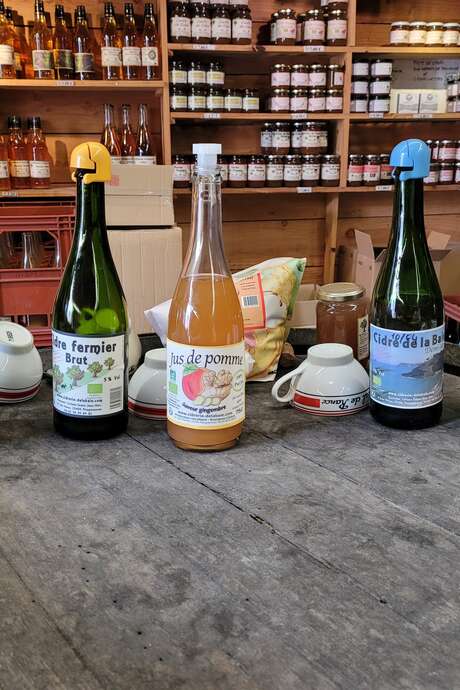 Dégustation de produits locaux