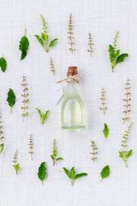 ANNULE - ATELIER : RENFORCER SON SYSTEME IMMUNITAIRE GRACE AUX HUILES ESSENTIELLES ANNULE - ATELIER : RENFORCER SON SYSTEME IMMUNITAIRE GRACE AUX HUILES ESSENTIELLES