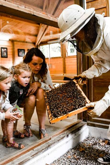 Fête des Ruches et des Abeilles