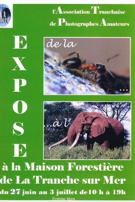 l'ATPA expose à la Maison Forestière