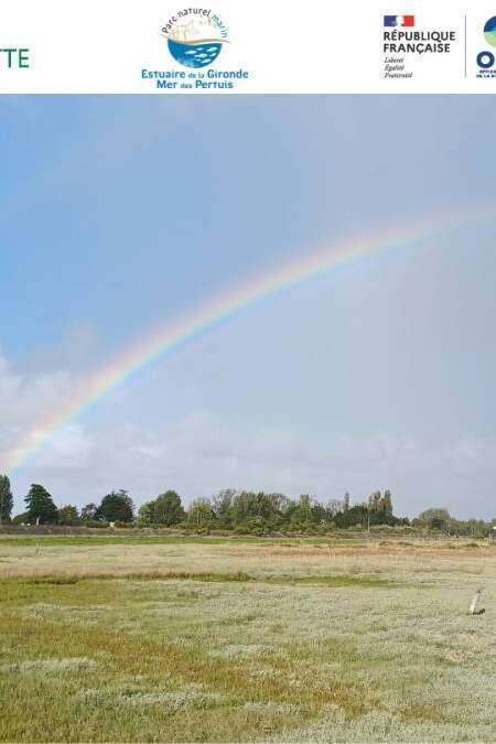 Journée mondiale des zones humides, la lagune de la Belle Henriette
