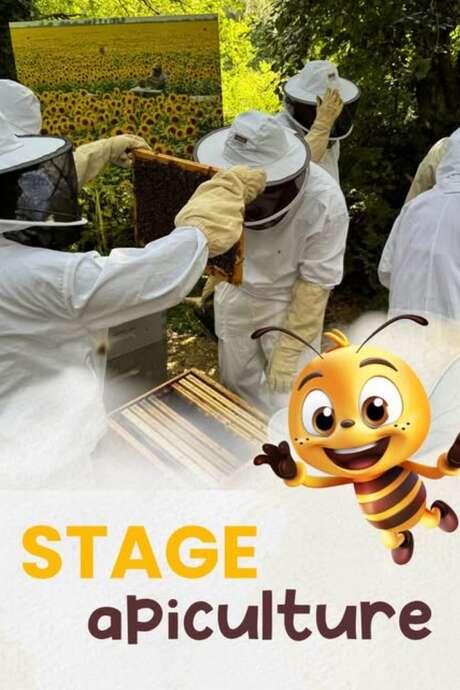 Stage d'initiation à l'apiculture