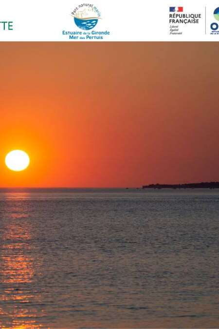 La réserve au crépuscule