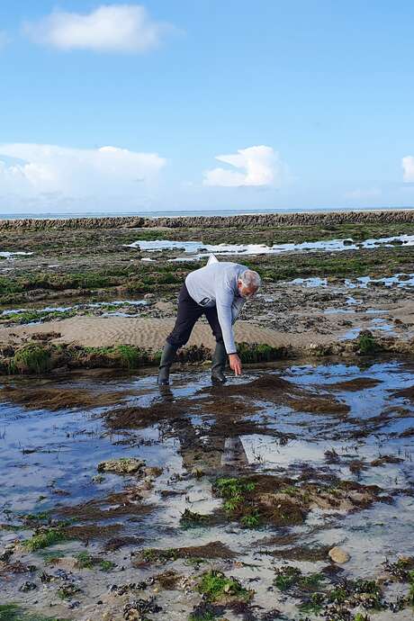 Littoral Tranchais et l'éluse à poissons