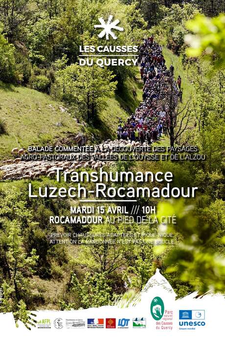 Transhumance Rocamadour-Luzech