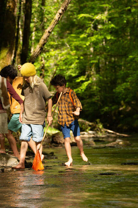 Balade-découverte : continuités écologiques et moules perlières sur le ruisseau de la Ressègue