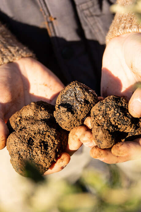 Marché de la Truffe de Souillac