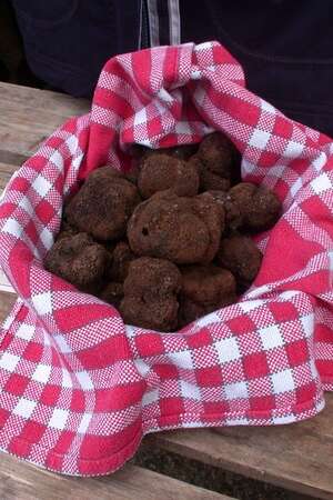 Marché aux Truffes de Cressensac-Sarrazac