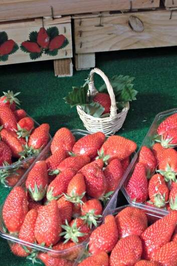 Marché Gourmand dans le  cadre de la Fête de la Fraise