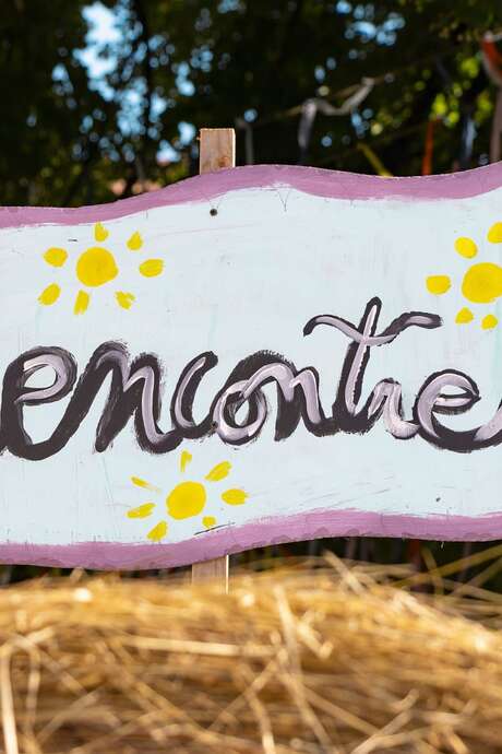 Rencontres sous le Tilleul