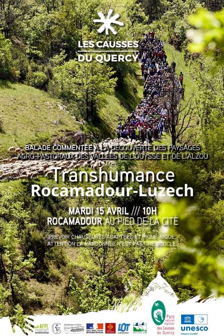 Transhumance Rocamadour-Luzech