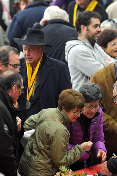 Foire aux truffes de Cuzance