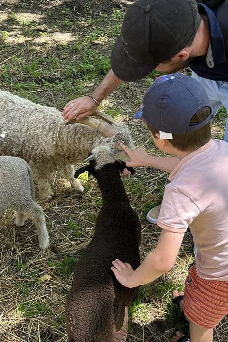 Fête de la ferme Les Minis Pattes