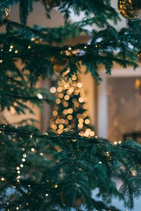 Marché de Noël à Lanteuil