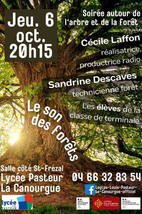 LE SON DES FORÊTS, SOIREE AUTOUR DE L'ARBRE ET DE LA FORÊT LE SON DES FORÊTS, SOIREE AUTOUR DE L'ARBRE ET DE LA FORÊT