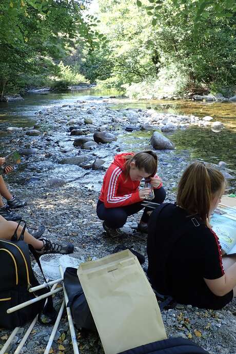 ANIMATIONS PÊCHE AU COUP EN RIVIÈRE ANIMATIONS PÊCHE AU COUP EN RIVIÈRE