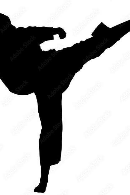 EVEIL KARATE DO CANOURGUAIS