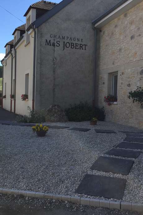 "Vendangeur en herbe" au Champagne M&S Jobert
