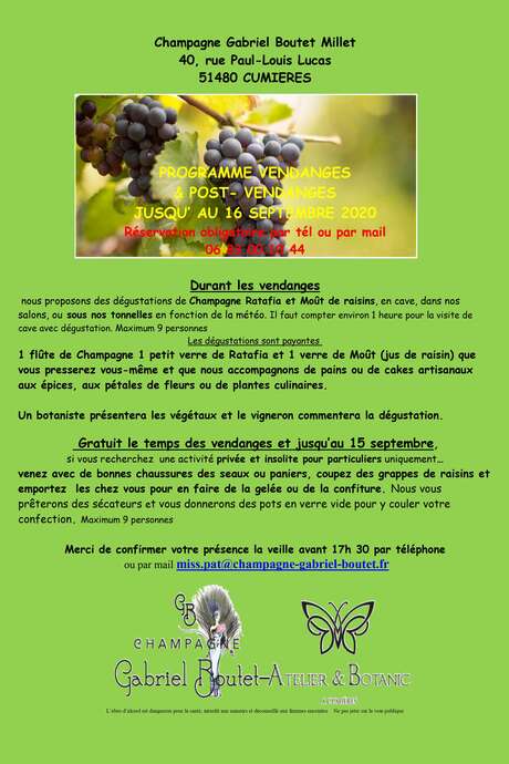 Vendanges 2020 - Champagne Gabriel Boutet