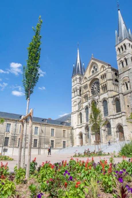 Visite guidée - Basilique Saint Remi, la surprenante Visite guidée - Basilique Saint Remi, la surprenante