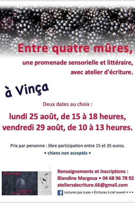 BALADE LITTERAIRE ET ATELIER D'ECRITURE : "ENTRE QUATRE MURES"
