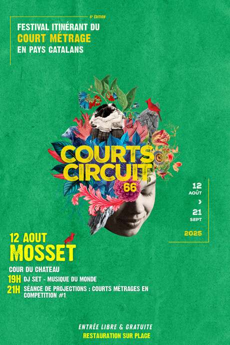 COURTS CIRCUIT 66