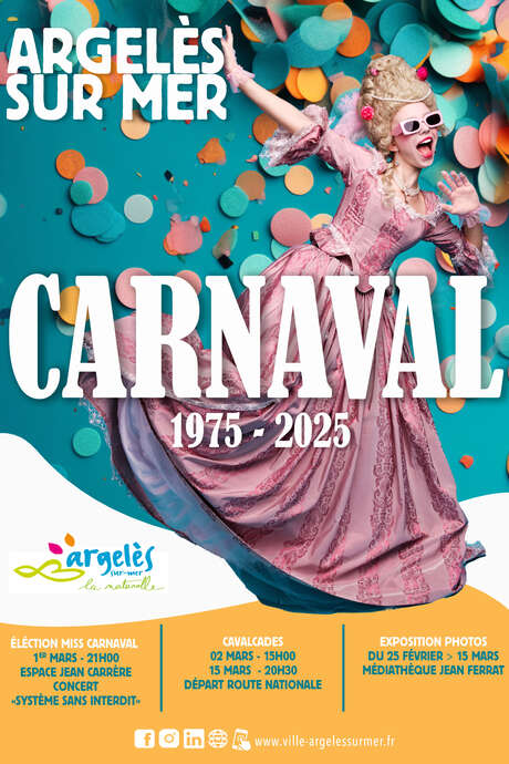 CARNAVAL D'ARGELES-SUR-MER - CAVALCADE NOCTURNE