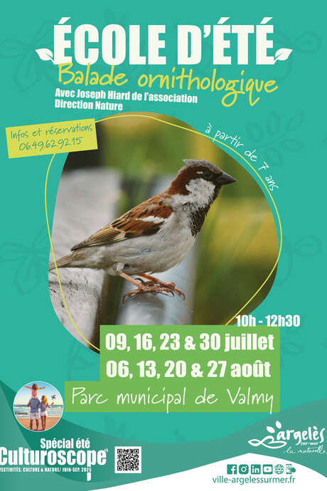 SOMMERSCHULE: ORNITHOLOGISCHER SPAZIERGANG