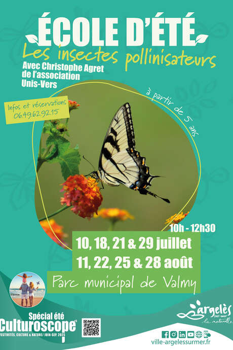 SOMMERSCHULE: BESTÄUBENDE INSEKTEN