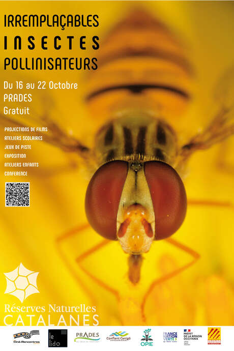 EXPOSITION PHOTO "LES POLLINISATEURS SAUVAGES"