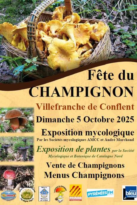 FÊTE DU CHAMPIGNON
