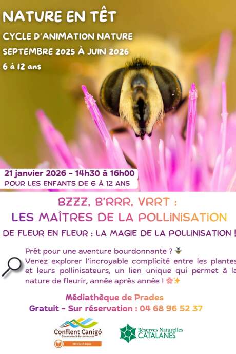 NATURE EN TÊT: BZZZ, BRRR, VRRT LES MAÎTRES DE LA POLLINISATION!