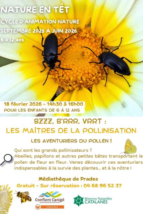 NATURE EN TÊT: BZZZ, B'RRR, VRRT: LES MAITRES DE LA POLLINISATION!