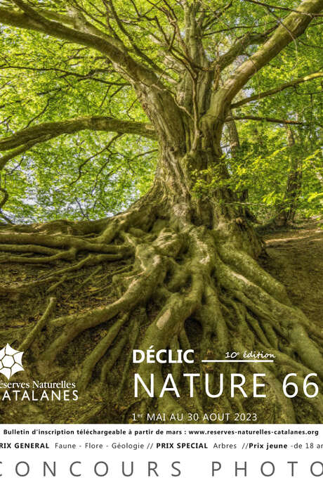 CONCOURS PHOTO DÉCLIC NATURE 2023
