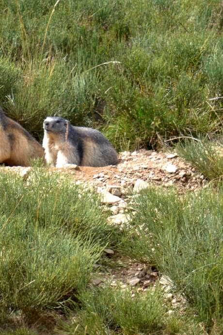 BAIN DE NATURE EN HAUT CONFLENT, PETITE RANDONNEE AVEC PASSCANIGO