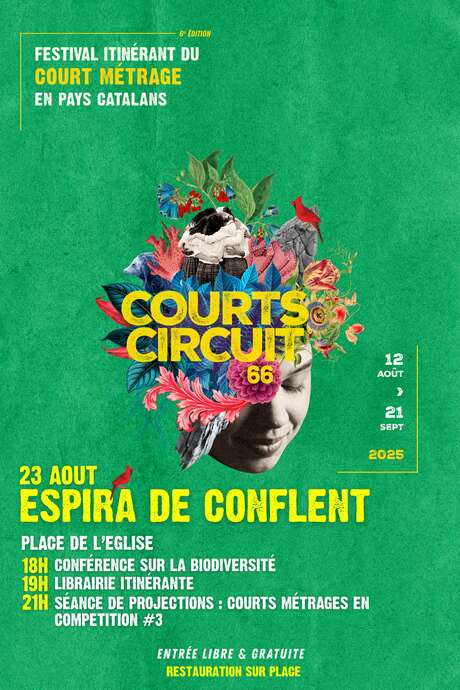 COURTS CIRCUIT 66