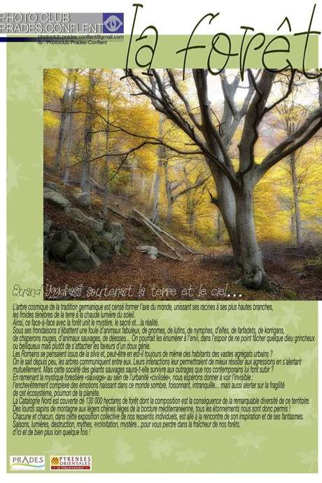 EXPOSITION PHOTO LA FORÊT