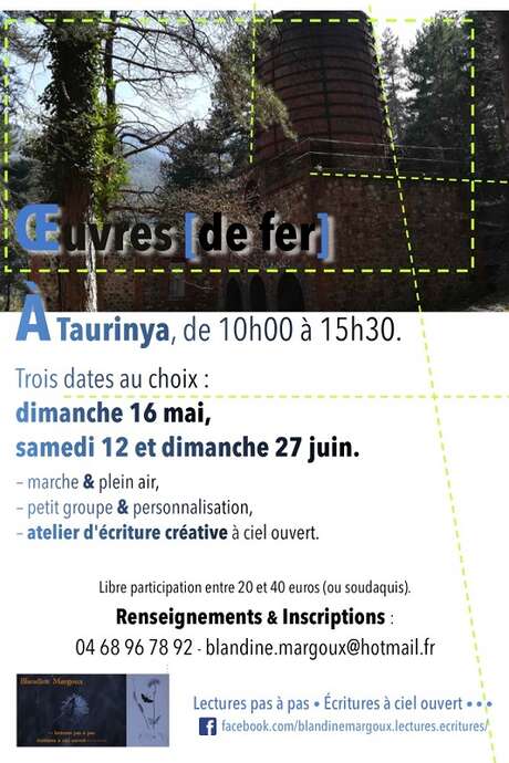 LECTURES PAS A PAS - ECRITURES A CIEL OUVERT : OEUVRES DE FER LECTURES PAS A PAS - ECRITURES A CIEL OUVERT : OEUVRES DE FER