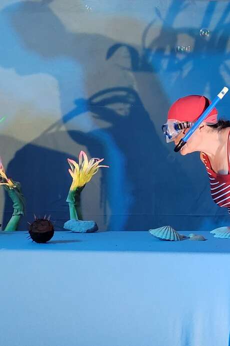 SPECTACLE "LE GRAND PLONGEON"
