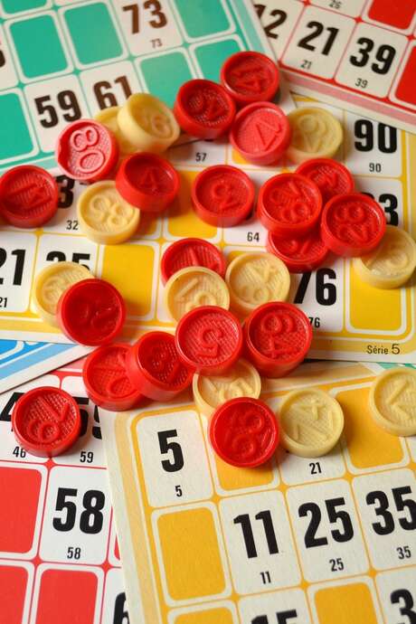 LOTO DE VINÇA