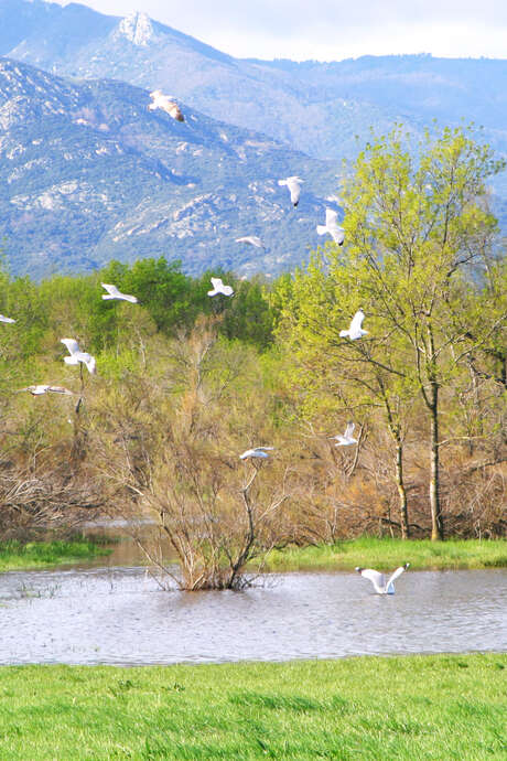 FIESTA DE LA NATURALEZA 2026 - DESCUBRIMIENTO DE UN ESPACIO NATURAL - SITIO NATURA 2000