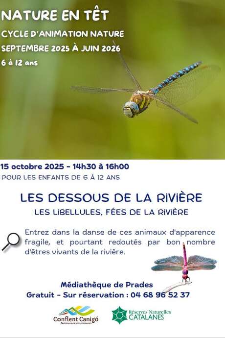 NATURE EN TÊT: LES DESSOUS DE LA RIVIÈRE