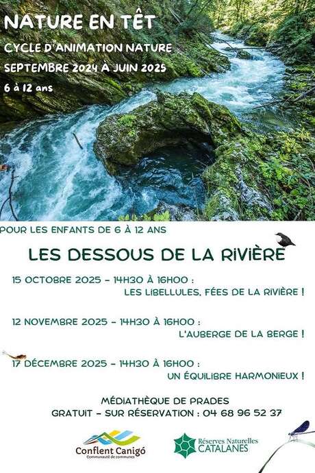 LES DESSOUS DE LA RIVIÈRE: UN ÉQUILIBRE HARMONIEUX!