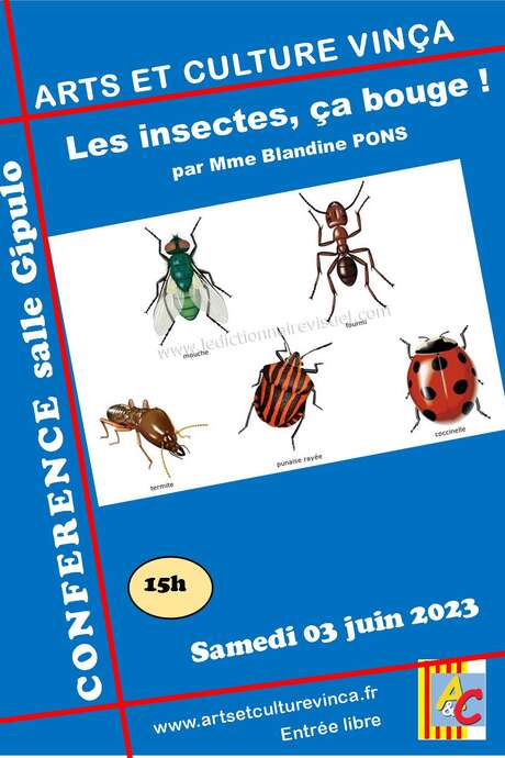 CONFÉRENCE "LES INSECTES, ÇA BOUGE !"