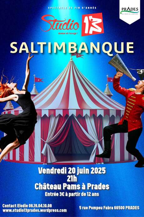 SPECTACLE DE FIN D'ANNÉE SALTIMBANQUE