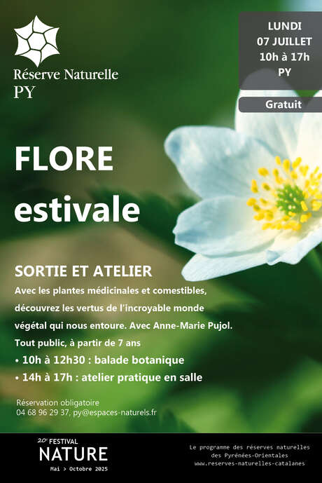 FLORE ESTIVALE : SORTIE ET ATELIER NATURE